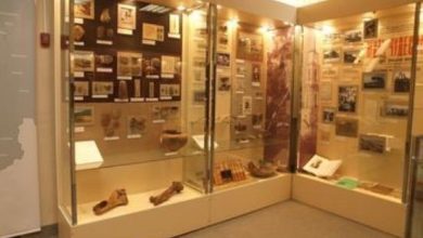 Photo of «Исторические музеи: витрина прошлого»