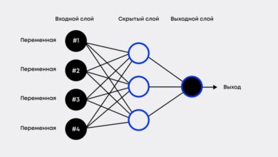 Photo of Принципы работы нейронных сетей для обработки фотографий